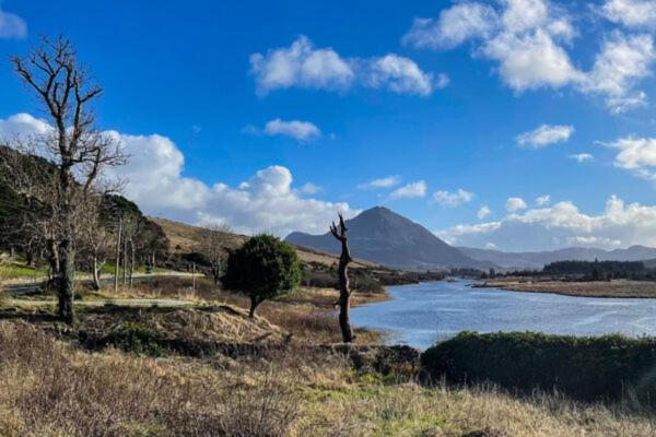 Donegal Luxury Pods Leilighet Gweedore Eksteriør bilde